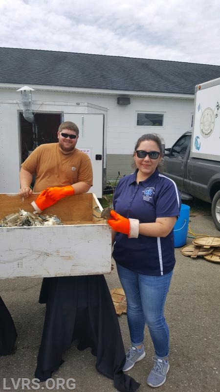 Elizabeth picks up her first live crab!